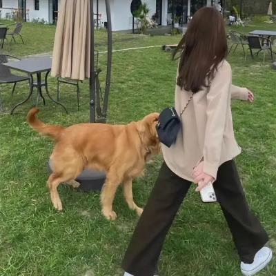 摇滚爱重生